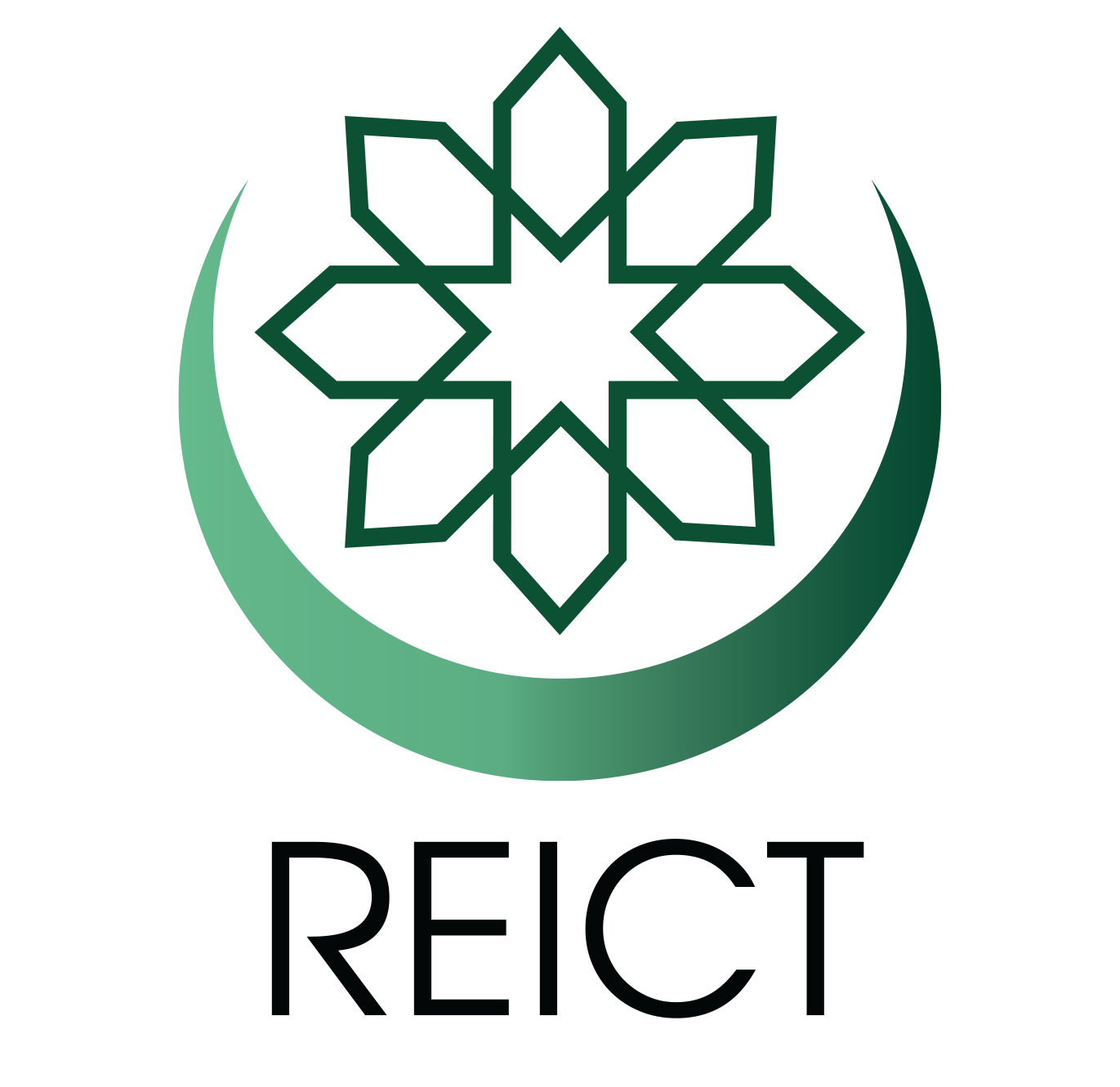 Logo Dark (REICT) Logo Dark (REICT)
